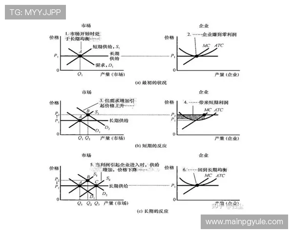 揭秘欧博真人官方网站的成功秘诀与市场竞争优势